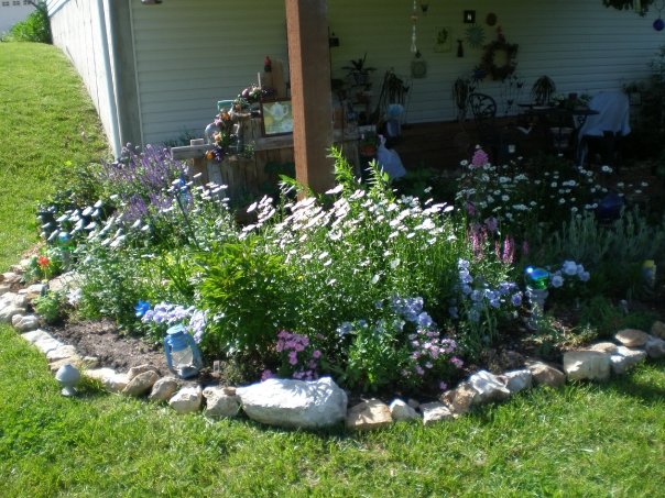 My St. Louis Garden&nbsp;2002-2010